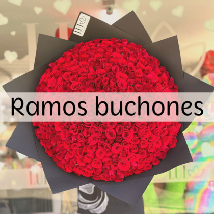 Ramos buchones