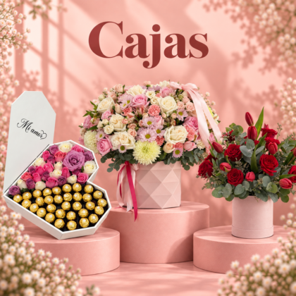 Cajas